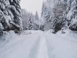 May be an image of nature, snow, road and tree