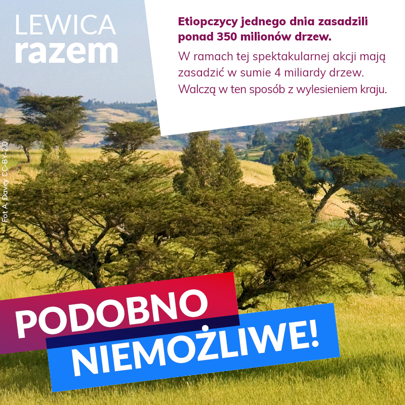 W Polsce ustawa Szyszki doprowadziła do masowej, dzikiej i kompletnie nieodpowiedzialnej wycinki drzew. W wielu polskich