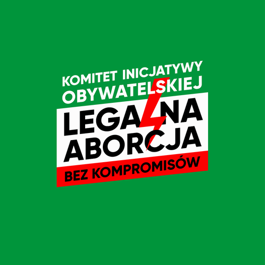 Poseł Kaczyński przedstawił dziś wizję swojej wymarzonej opozycji: zinstytucjona